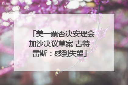 美一票否决安理会加沙决议草案 古特雷斯：感到失望