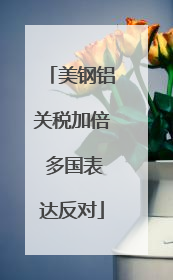 美钢铝关税加倍 多国表达反对