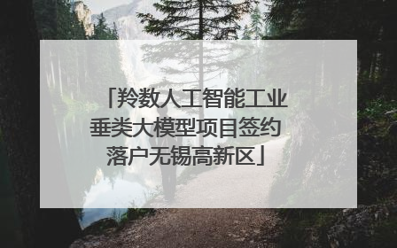 羚数人工智能工业垂类大模型项目签约落户无锡高新区