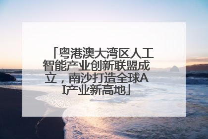 粤港澳大湾区人工智能产业创新联盟成立，南沙打造全球AI产业新高地