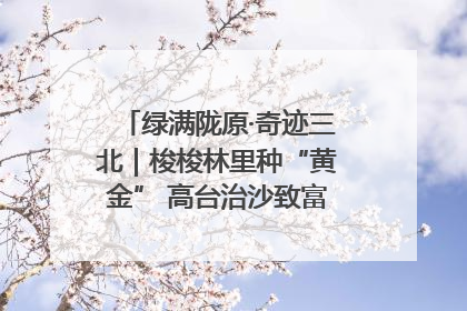 绿满陇原·奇迹三北｜梭梭林里种“黄金” 高台治沙致富很“从容”