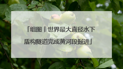 组图丨世界最大直径水下盾构隧道完成黄河段掘进