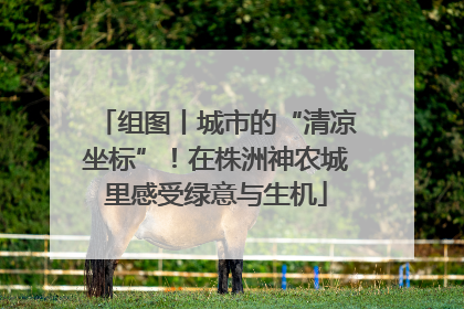 组图丨城市的“清凉坐标”！在株洲神农城里感受绿意与生机