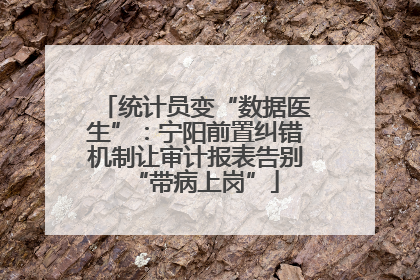 统计员变“数据医生”：宁阳前置纠错机制让审计报表告别“带病上岗”