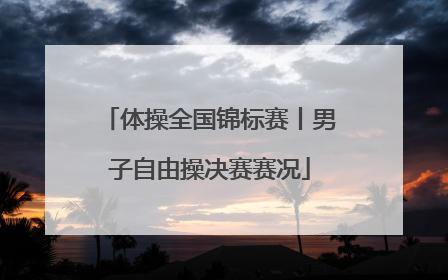 体操全国锦标赛丨男子自由操决赛赛况
