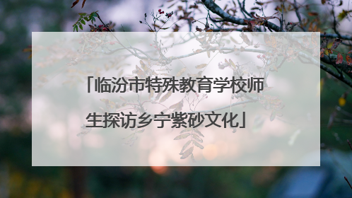 临汾市特殊教育学校师生探访乡宁紫砂文化
