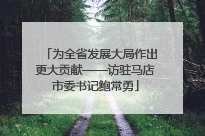 为全省发展大局作出更大贡献——访驻马店市委书记鲍常勇