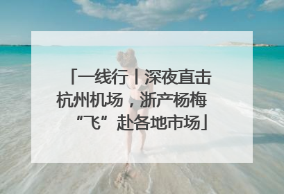 一线行丨深夜直击杭州机场，浙产杨梅“飞”赴各地市场