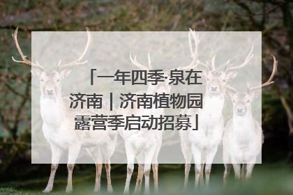 一年四季·泉在济南｜济南植物园露营季启动招募