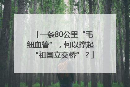 一条80公里“毛细血管”，何以撑起“祖国立交桥”？