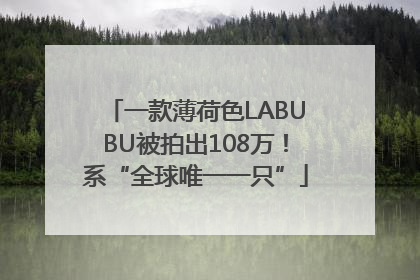 一款薄荷色LABUBU被拍出108万！系“全球唯一一只”