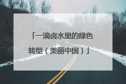 一滴卤水里的绿色转型（美丽中国）