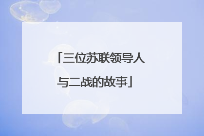 三位苏联领导人与二战的故事