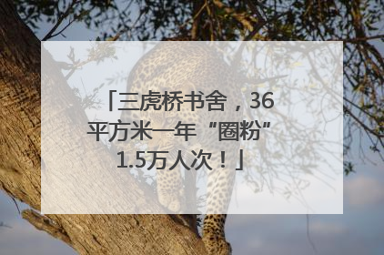 三虎桥书舍，36平方米一年“圈粉”1.5万人次！