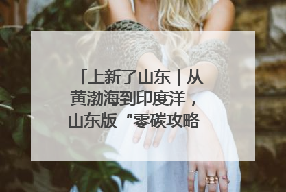 上新了山东｜从黄渤海到印度洋，山东版“零碳攻略”有多能打？
