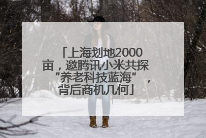 上海划地2000亩，邀腾讯小米共探“养老科技蓝海”，背后商机几何