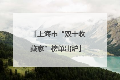 上海市“双十收藏家”榜单出炉