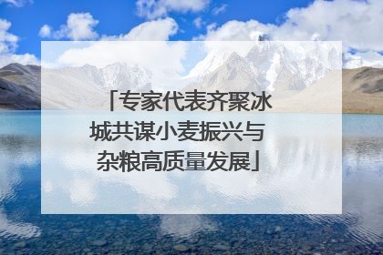 专家代表齐聚冰城共谋小麦振兴与杂粮高质量发展