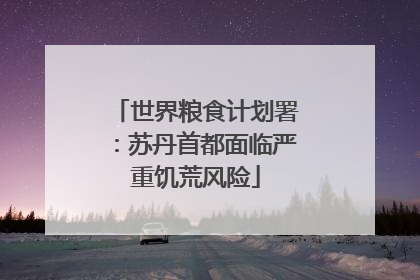 世界粮食计划署：苏丹首都面临严重饥荒风险