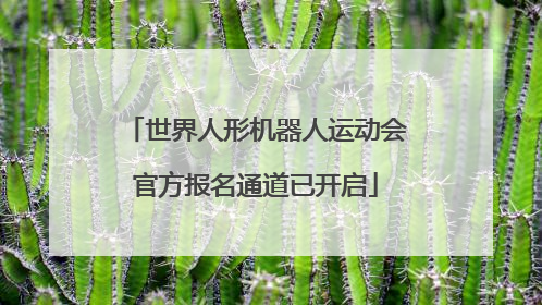 世界人形机器人运动会官方报名通道已开启
