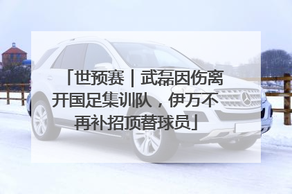 世预赛｜武磊因伤离开国足集训队，伊万不再补招顶替球员