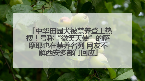 中华田园犬被禁养登上热搜！号称“微笑天使”的萨摩耶也在禁养名列 网友不解西安多部门回应