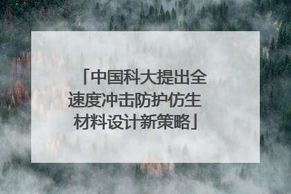 中国科大提出全速度冲击防护仿生材料设计新策略