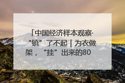 中国经济样本观察·“镇”了不起｜为衣做架，“挂”出来的80亿元“衣架产业”