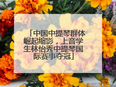 中国中提琴群体崛起缩影，上音学生林怡秀中提琴国际赛事夺冠