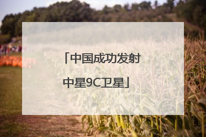 中国成功发射中星9C卫星