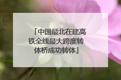 中国最北在建高铁全线最大跨度转体桥成功转体