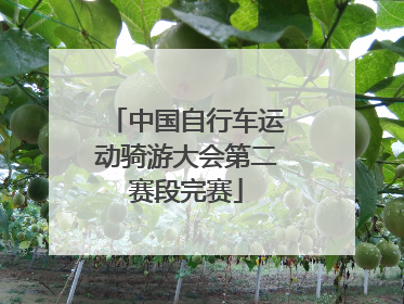 中国自行车运动骑游大会第二赛段完赛