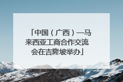 中国（广西）—马来西亚工商合作交流会在吉隆坡举办