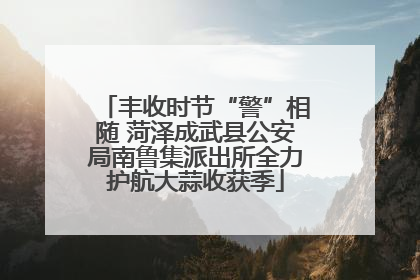 丰收时节“警”相随 菏泽成武县公安局南鲁集派出所全力护航大蒜收获季