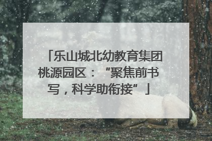 乐山城北幼教育集团桃源园区：“聚焦前书写，科学助衔接”