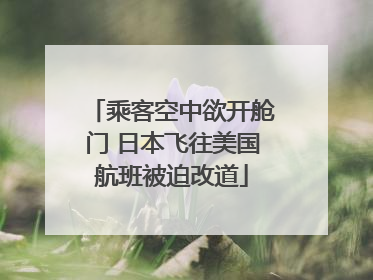 乘客空中欲开舱门 日本飞往美国航班被迫改道