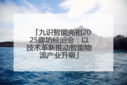 九识智能亮相2025廊坊经洽会：以技术革新推动智能物流产业升级