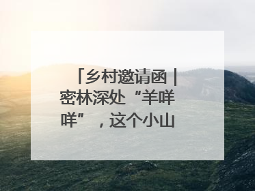 乡村邀请函｜密林深处“羊咩咩”，这个小山村如何逆袭？