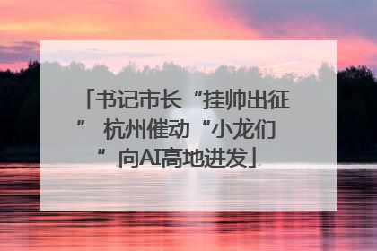 书记市长“挂帅出征” 杭州催动“小龙们”向AI高地进发