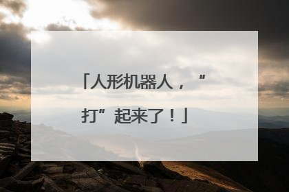 人形机器人，“打”起来了！