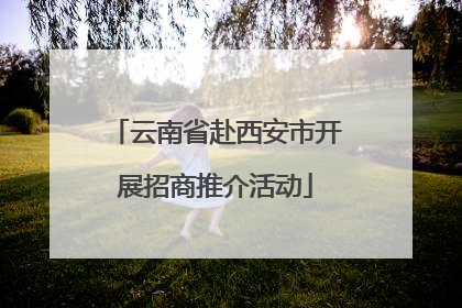 云南省赴西安市开展招商推介活动