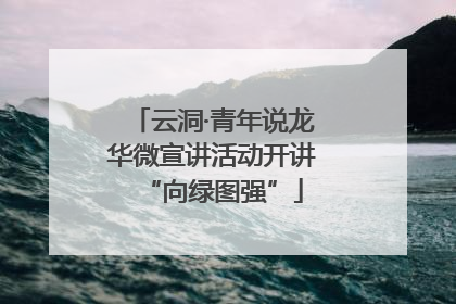 云洞·青年说龙华微宣讲活动开讲“向绿图强”