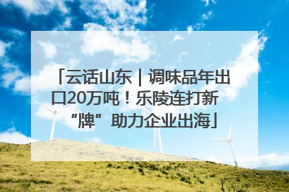 云话山东｜调味品年出口20万吨！乐陵连打新“牌”助力企业出海