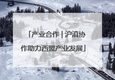 产业合作 | 沪滇协作助力西盟产业发展