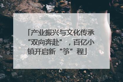 产业振兴与文化传承“双向奔赴”，百亿小镇开启新“筝”程