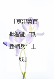 京津冀首批智能“铁路哨兵”上线