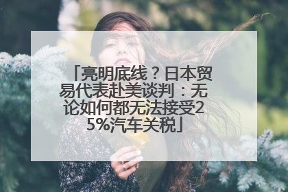 亮明底线？日本贸易代表赴美谈判：无论如何都无法接受25%汽车关税