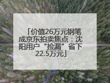 价值26万元钢笔成京东拍卖焦点：沈阳用户“捡漏”省下22.5万元