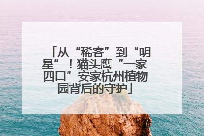 从“稀客”到“明星”！猫头鹰“一家四口”安家杭州植物园背后的守护
