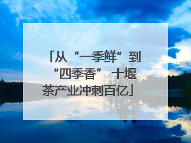 从“一季鲜”到“四季香” 十堰茶产业冲刺百亿